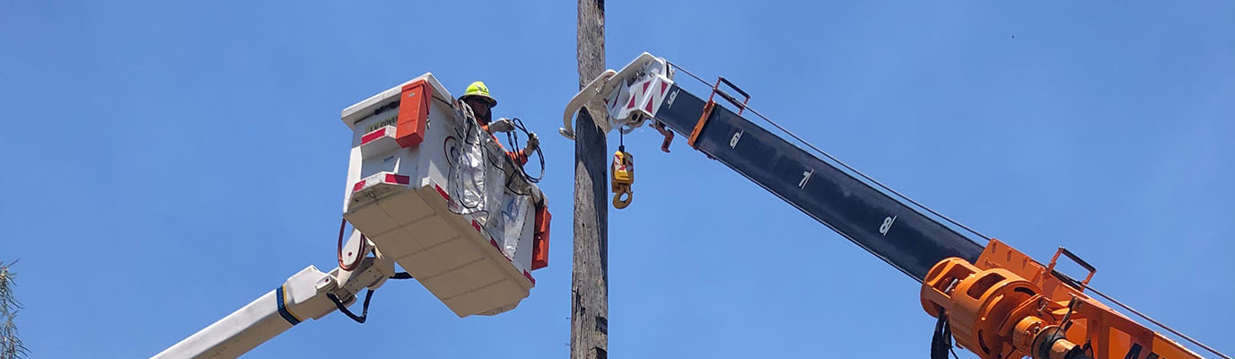 Power Restored To Sydney’s North - Ausgrid